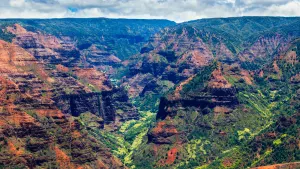 Waimea Canyon & Koke'e Adventure